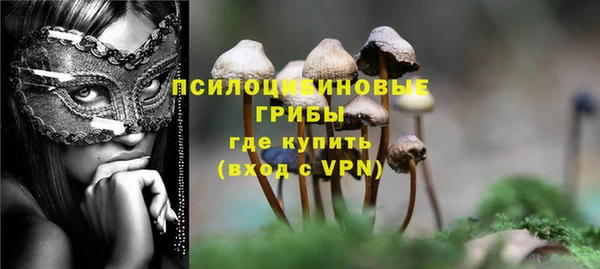МДМА Белокуриха