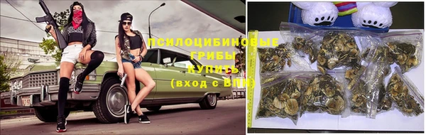 прущие крисы Белоозёрский
