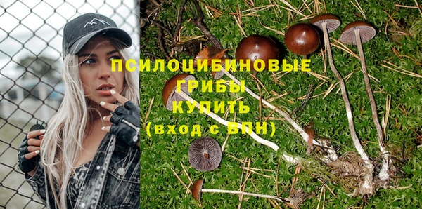 прущие крисы Белоозёрский