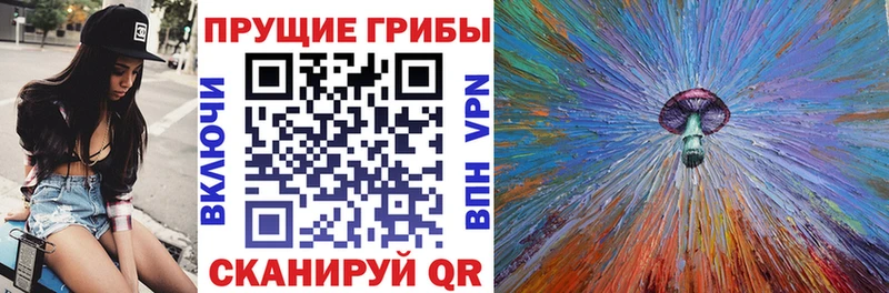 Псилоцибиновые грибы Cubensis  Ногинск 